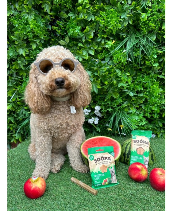 Natūralūs arbūzo ir obuolių skanėstai šunims, SOOPA