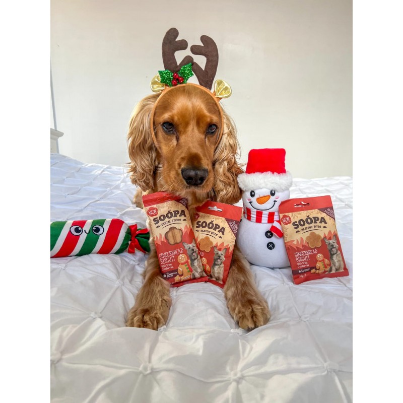 Imbierinių meduolių skonio skanėstai šunims, SOOPA