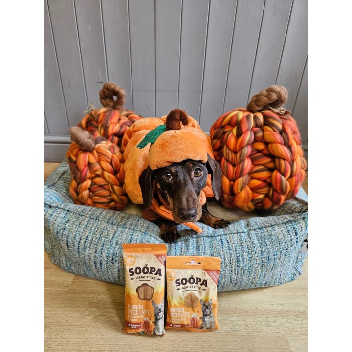 Pumpkin Spiced Latte Sticks lazdelės šunims, SOOPA