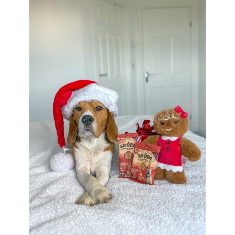 Imbierinių meduolių skonio lazdelės šunims, SOOPA