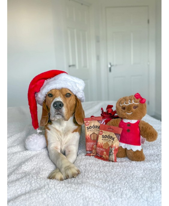 Imbierinių meduolių skonio lazdelės šunims, SOOPA