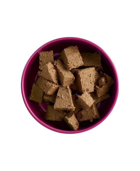 Yora hipoalerginis šunų paštetas su burokėliais ir ropėmis