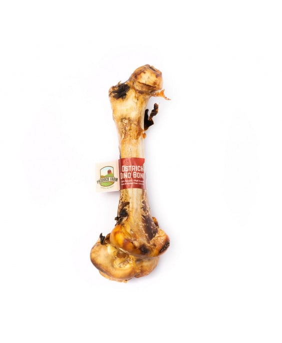 Stručio kaulas šunims „Ostrich Dino Bone“ kramtau.lt skanėstas šunims, šunų graužimui