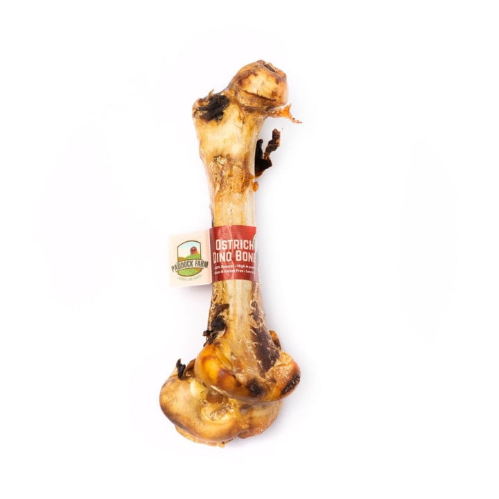 Stručio kaulas šunims „Ostrich Dino Bone“ kramtau.lt skanėstas šunims, šunų graužimui