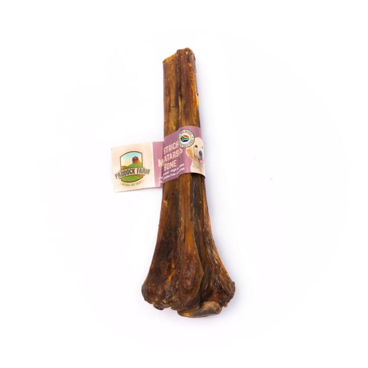 Stručio pėdos kaulas šunims - Paddock Farm Ostrich Metatarsus Bone