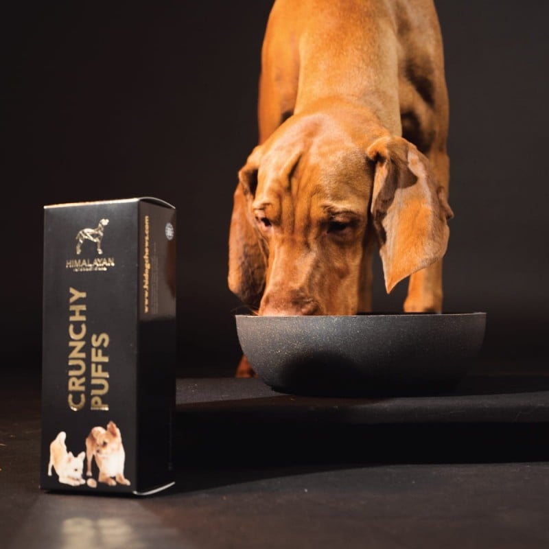Traškūs jako sūrio skanėstai šunims „Crunchy Puffs“, 70 g