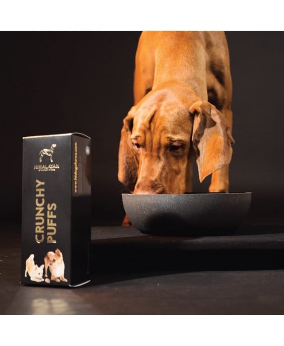 Traškūs jako sūrio skanėstai šunims „Crunchy Puffs“, 70 g