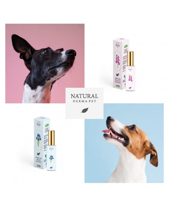 Natural Derma Pet kvepalai šunims ir katėms patinams, 30 ml