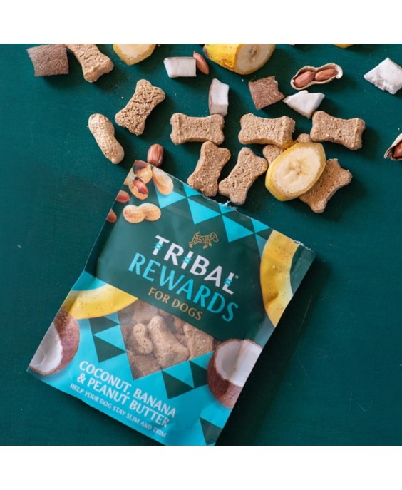 Skanėstai šunims su kokosais, bananais ir žemės riešutų sviestu „Coconut, Banana & Peanut Butter“ TRIBAL, 125g