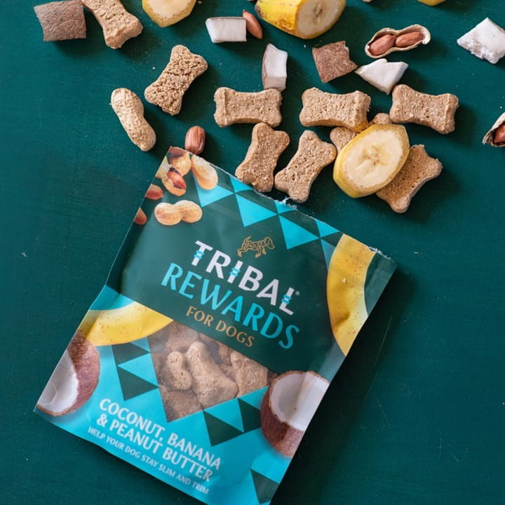 Skanėstai šunims su kokosais, bananais ir žemės riešutų sviestu „Coconut, Banana & Peanut Butter“ TRIBAL, 125g