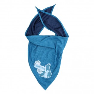 Vėsinanti skarelė mažiems šunims, CoolPets Cooling Bandana 30x30cm (S)