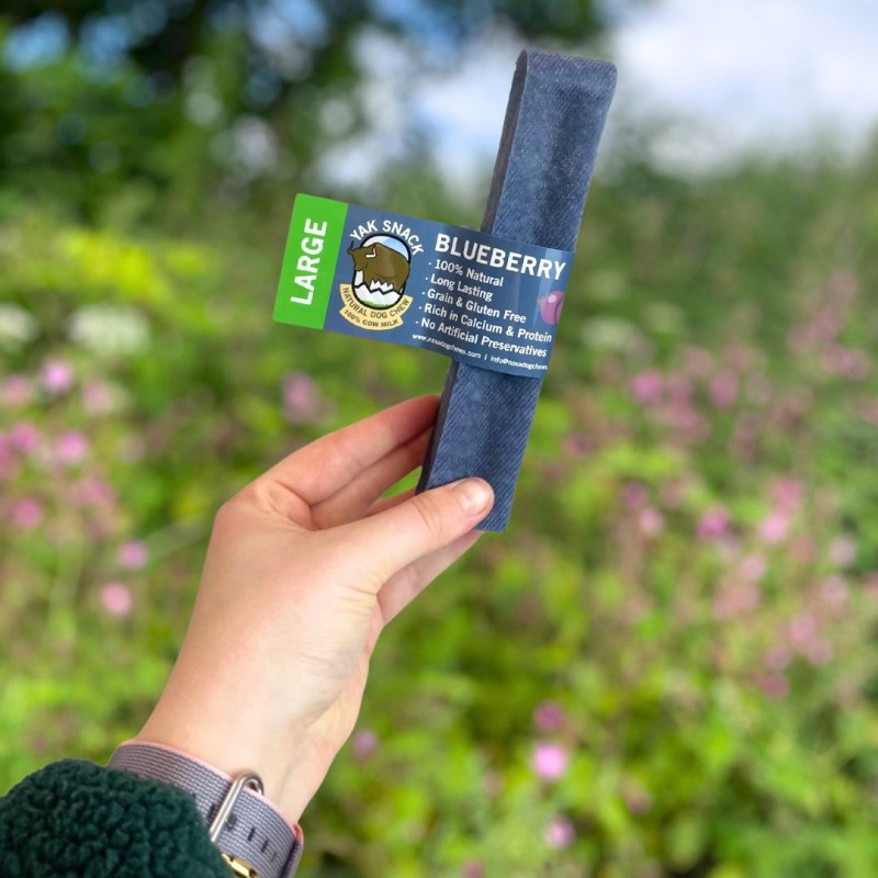 Jako sūris šunims su mėlynėmis, YAK SNACK, L dydis