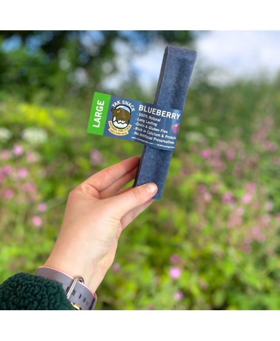 Jako sūris šunims su mėlynėmis, YAK SNACK, L dydis