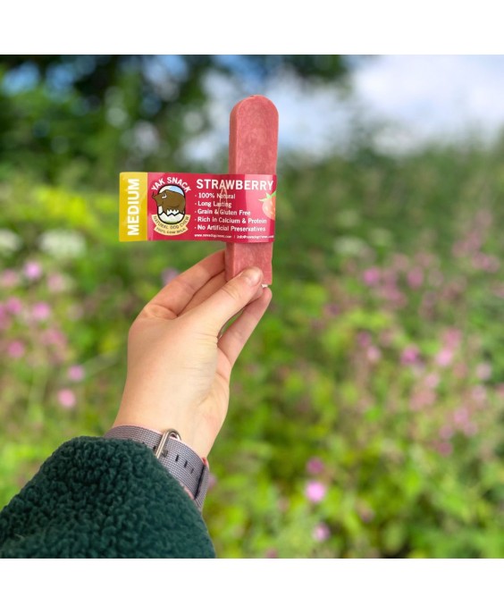 Jako sūris šunims su braškėmis, YAK SNACK, M dydis