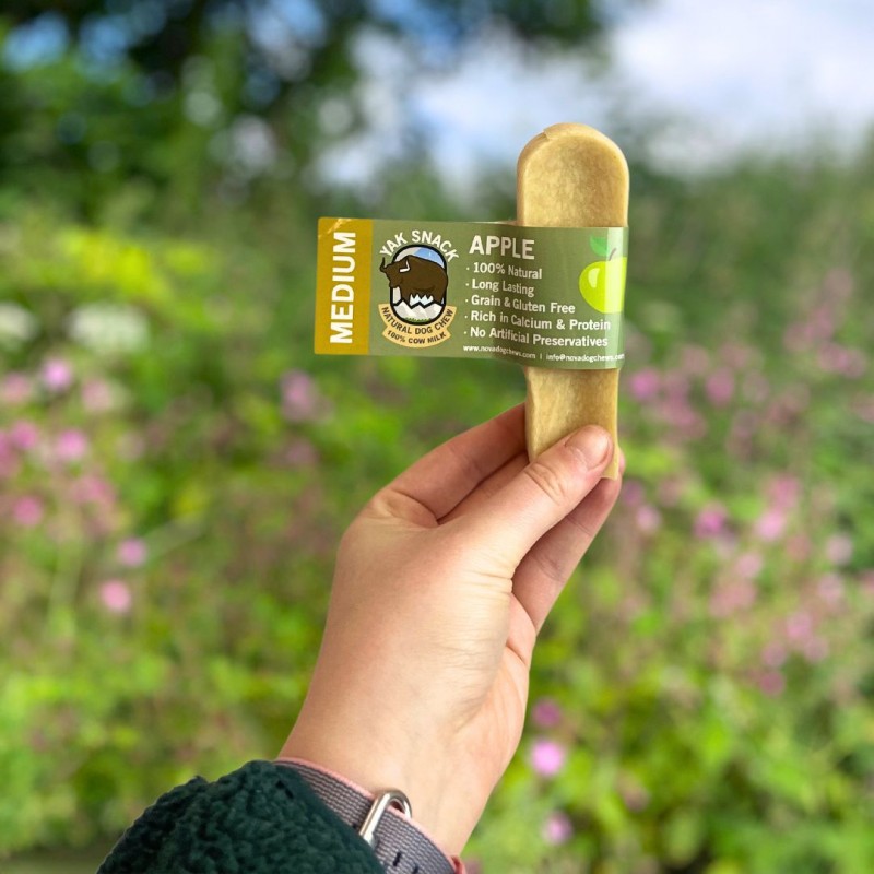 Jako sūris šunims su obuoliais, YAK SNACK, M dydis
