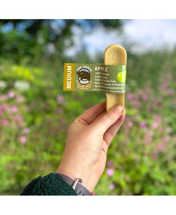 Jako sūris šunims su obuoliais, YAK SNACK, M dydis