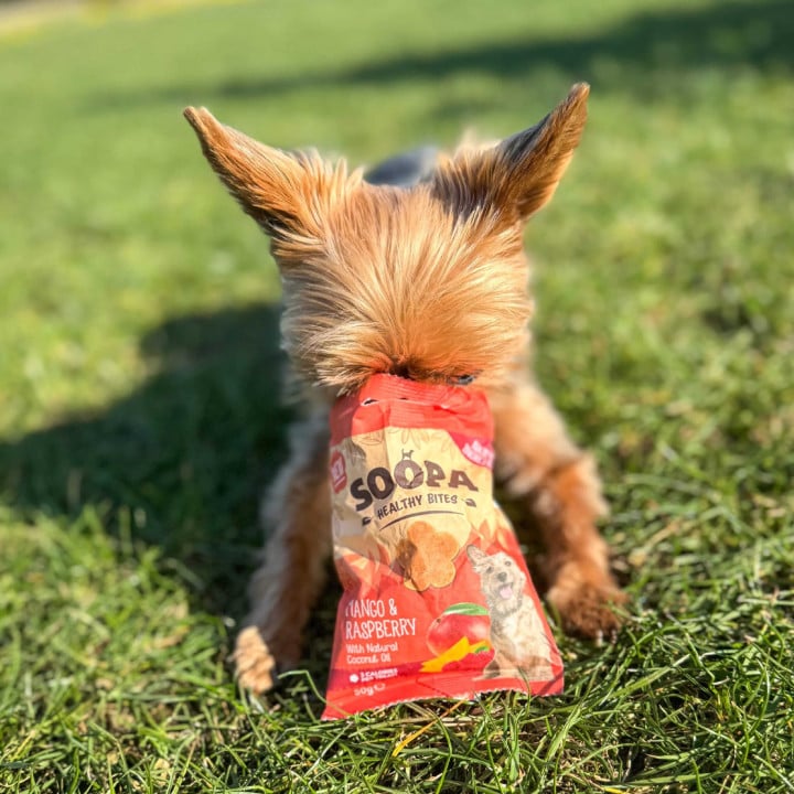 Soopa Healthy Bites šunų skanėstai su mango ir avietėmis (Mango & Raspberry), 50 g
