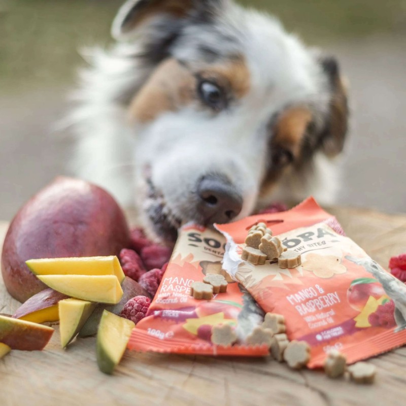 Soopa Healthy Bites šunų skanėstai su mango ir avietėmis (Mango & Raspberry), 50 g