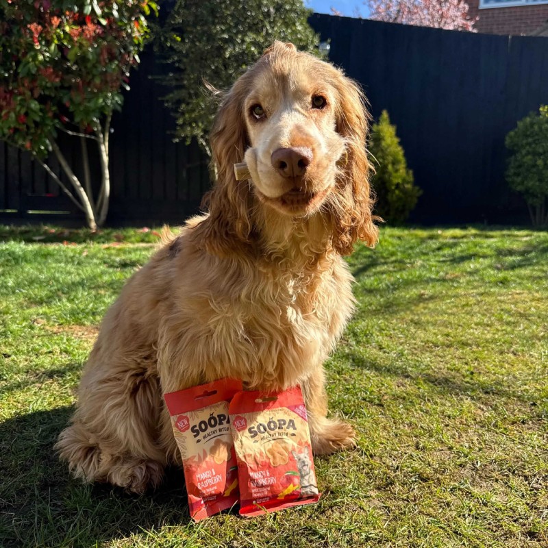 Soopa Healthy Bites šunų skanėstai su mango ir avietėmis (Mango & Raspberry), 50 g