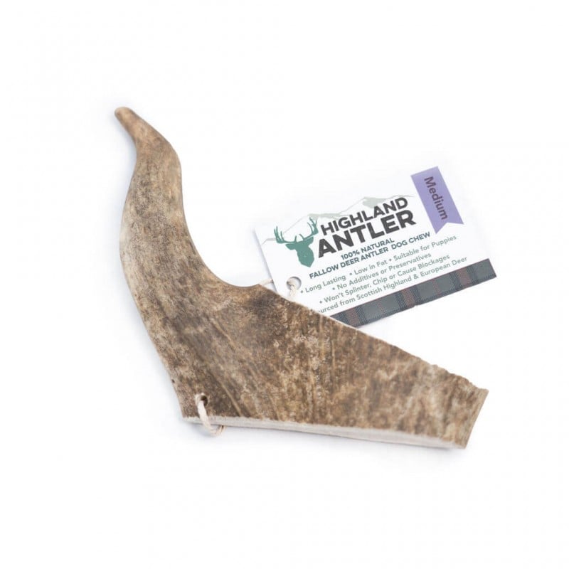 Danieliaus ragas šunims – Highland Fallow Antler – M dydis 76–150 g