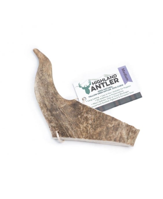 Danieliaus ragas šunims – Highland Fallow Antler – M dydis 76–150 g