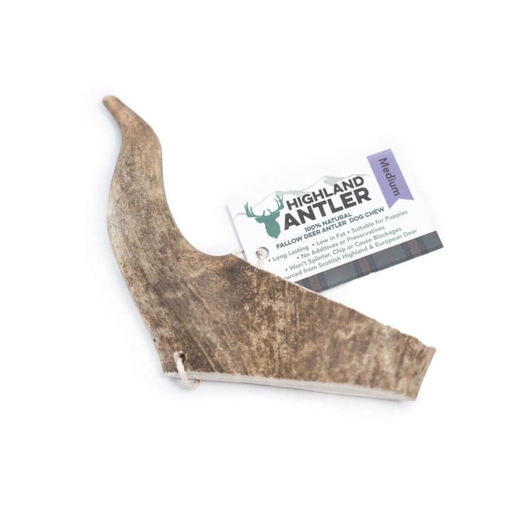 Danieliaus ragas šunims – Highland Fallow Antler – M dydis 76–150 g