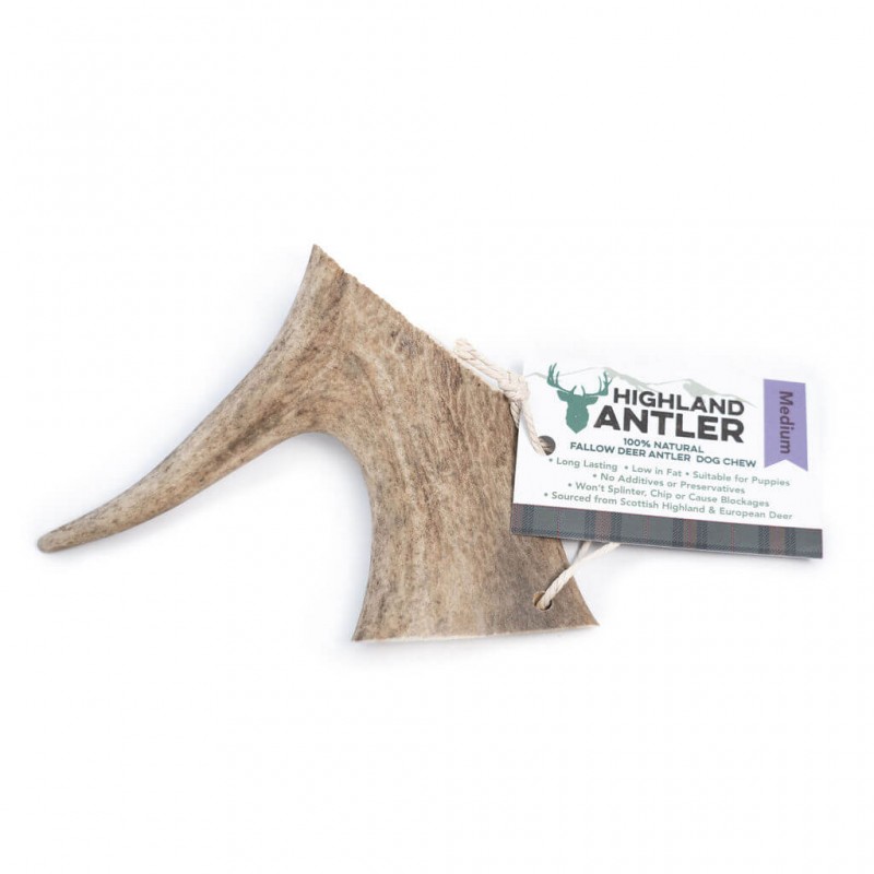 Danieliaus ragas šunims – Highland Fallow Antler – M dydis 76–150 g