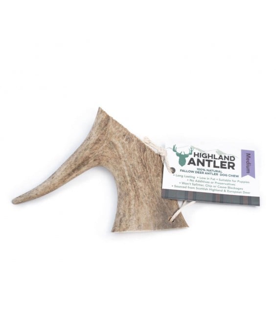 Danieliaus ragas šunims – Highland Fallow Antler – M dydis 76–150 g