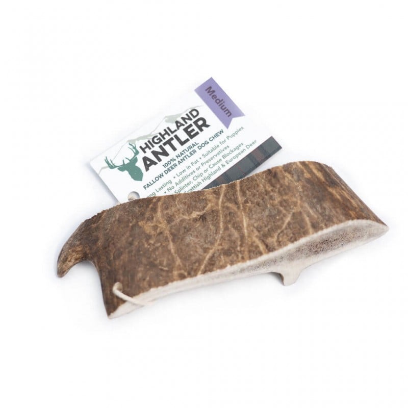 Danieliaus ragas šunims – Highland Fallow Antler – M dydis 76–150 g