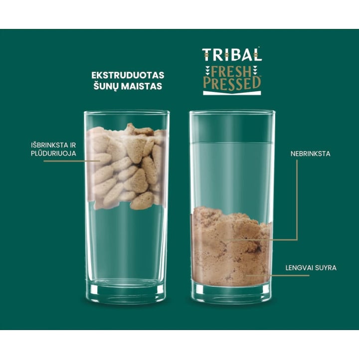 Dietinis maistas šunims senjorams su kalakutiena – Tribal