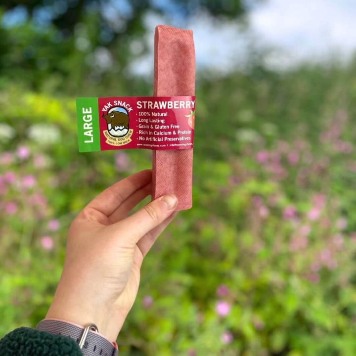 Jako sūris šunims su braškėmis, Yak  Snack Strawberry, L dydis