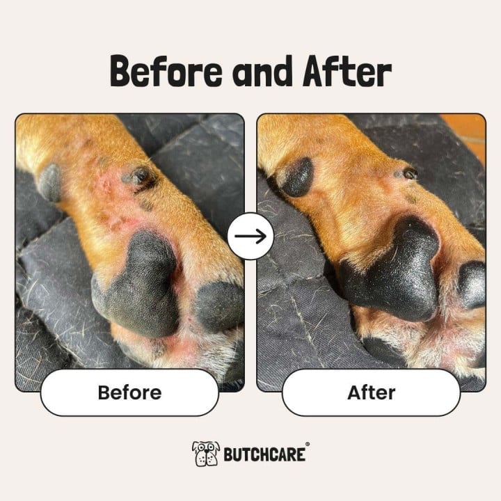 Butchcare Paw Balm natūralus pėdučių balzamas šunims