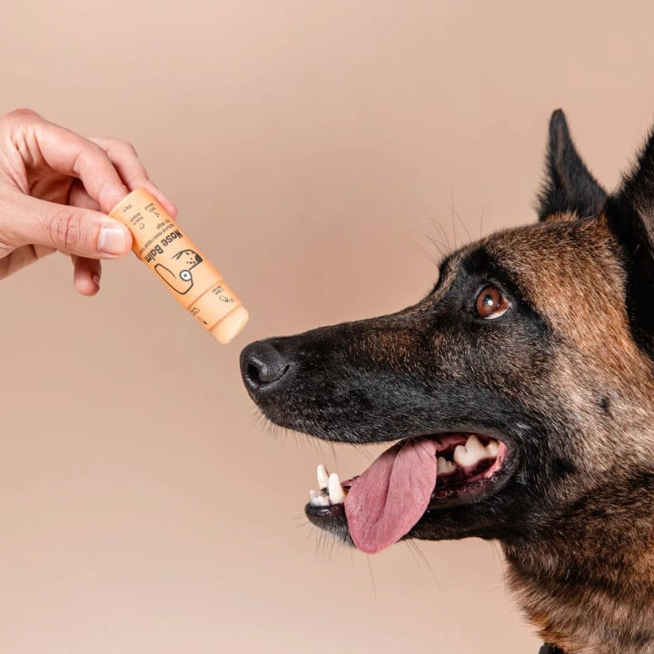 Butchcare Paw Balm raminantis ir drėkinantis natūralus nosies balzamas šunims