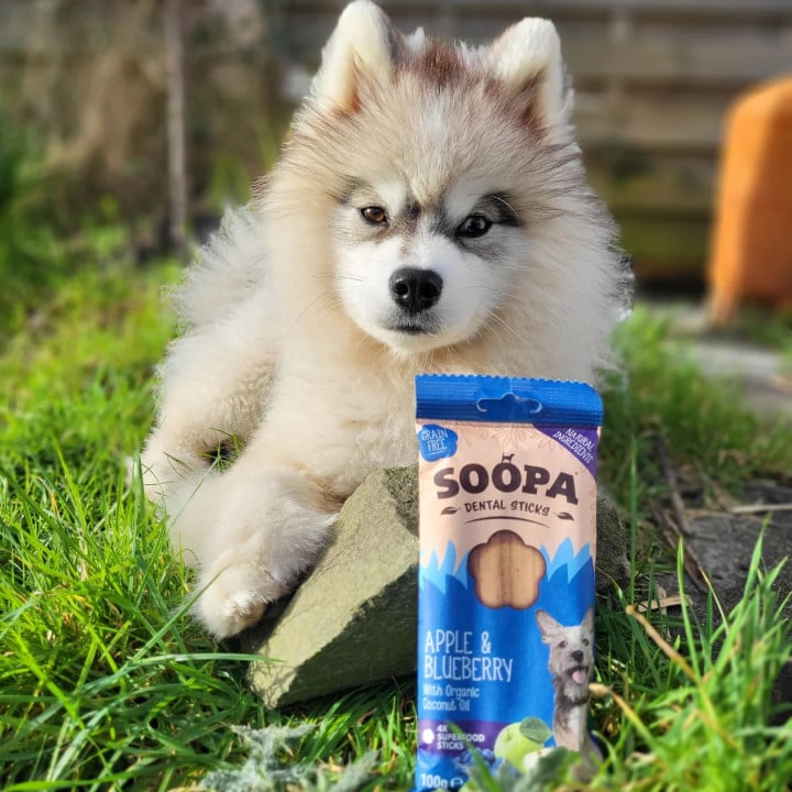 SOOPA Obuolių ir mėlynių dantų lazdelės šunims, 100 g