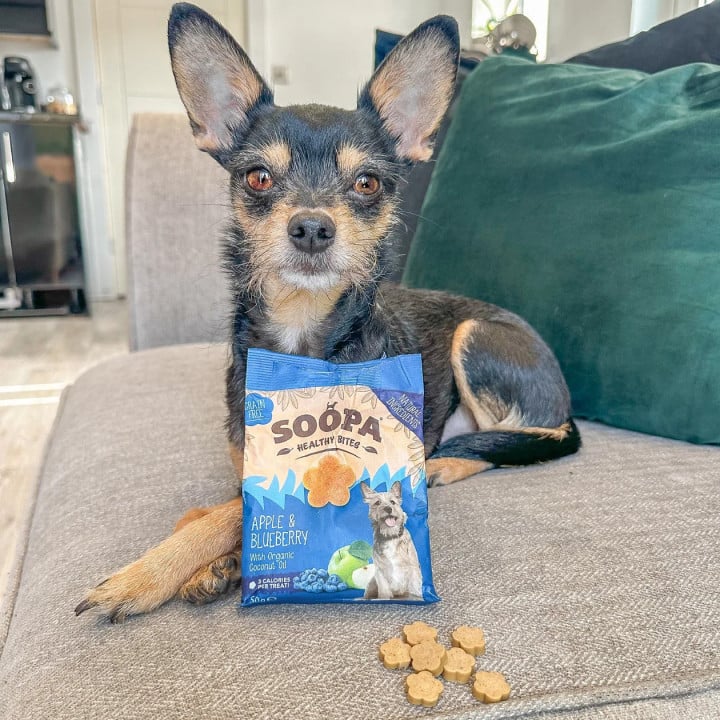 Obuolių ir mėlynių skanėstai šunims – Soopa Healthy Bites