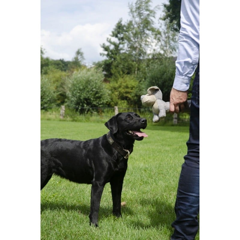 Ekologiškas pliušinis žaislas šunims Draugužis, Country Dog Buddy