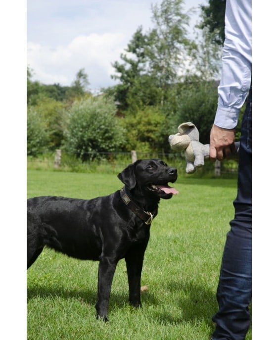 Ekologiškas pliušinis žaislas šunims Draugužis, Country Dog Buddy