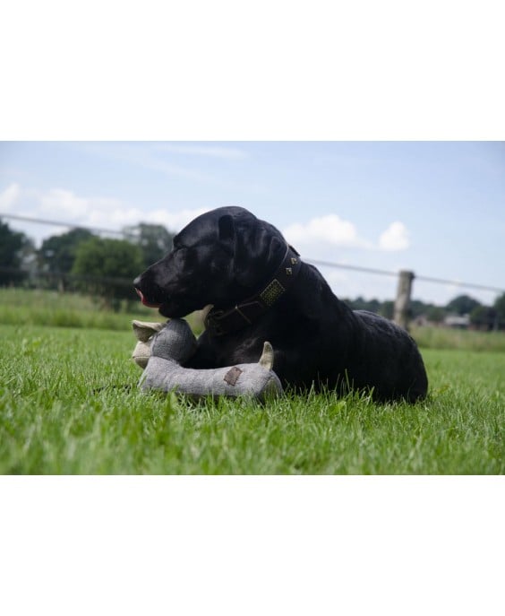 Ekologiškas pliušinis žaislas šunims Draugužis, Country Dog Buddy