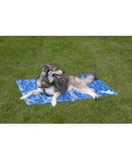 Vėsinantis, šaldantis kilimėlis mažiems šunims, CoolPets Premium Cooling Mat S (40x30cm)