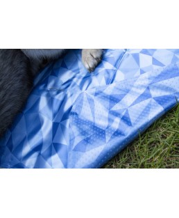 Vėsinantis kilimėlis vidutiniams šunims, CoolPets Premium Cooling Mat M (50x40cm)