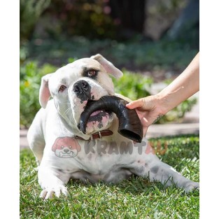 Kramtomas skanėstas šunims buivolo ragas, M dydis (105 g.)