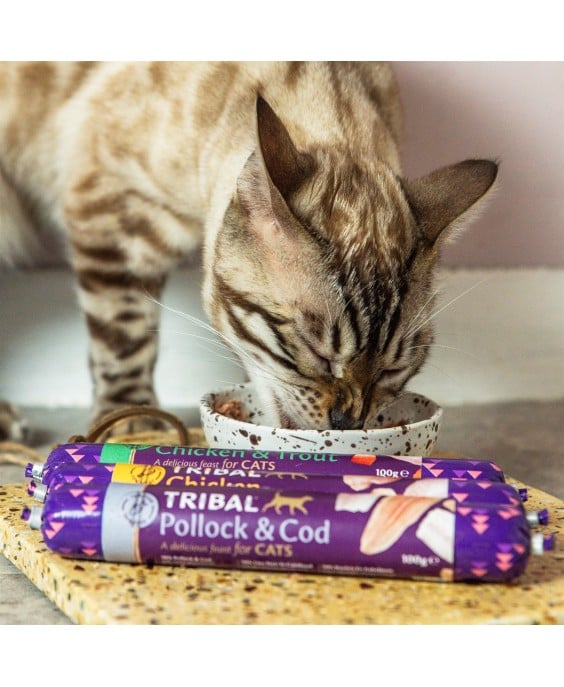 Tribal Cat konservai katėms su saida ir menke, 100 g