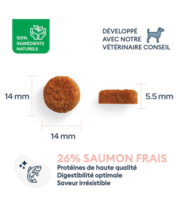 Sausas maistas mažų veislių suaugusiems šunims su lašiša - Marly & Dan