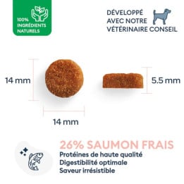 Marly & Dan sausas maistas vidutinių-didelių veislių šunims senjorams