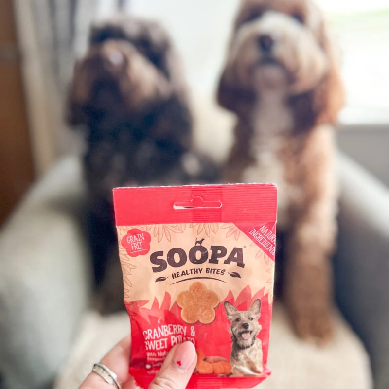 SOOPA Spanguolių ir saldžiųjų bulvių skanėstai šunims 50g