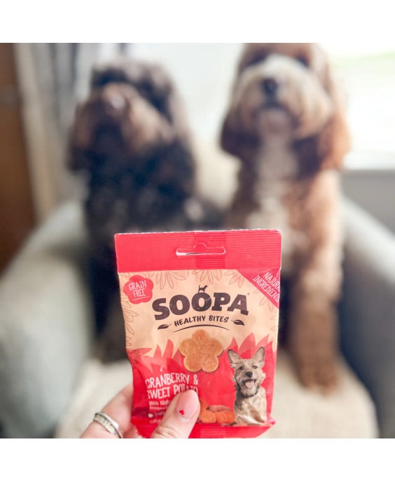 SOOPA Spanguolių ir saldžiųjų bulvių skanėstai šunims 50g