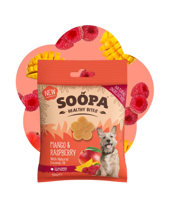 Mango ir aviečių skonio skanėstai šunims – Soopa Healthy Bites