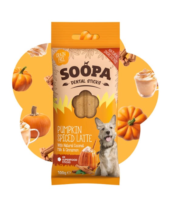 Pumpkin Spiced Latte Sticks lazdelės šunims, SOOPA