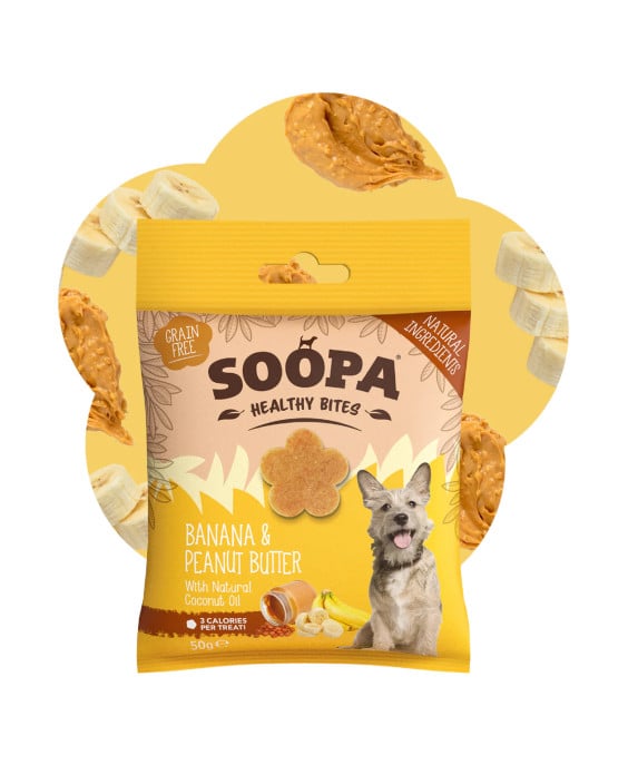 Bananų ir riešutų sviesto skanėstai šunims, SOOPA