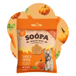Morkų ir moliūgų skanėstai šunims, SOOPA